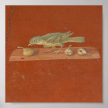 Fresco, Villa Oplontis Print