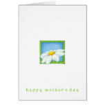 Fresh as a Daisy Mother's Day Card