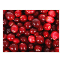 Fresh Cranberry Background Photo
