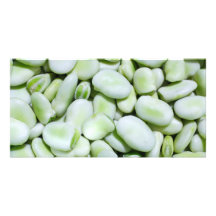 Fresh fava beans photo cards
