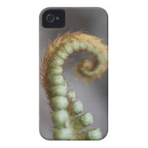 Fresh Fern iPhone 4 Case