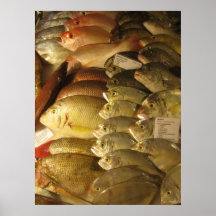 Fresh fish poster