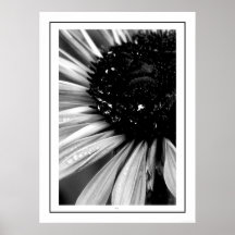 Fresh Print