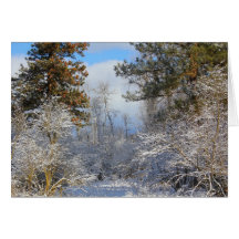 Fresh snowfall greeting card
