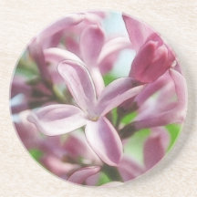Fresh Spring Lilacs Coasters