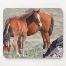 Fresh Start Mouse Pads