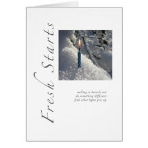 Fresh Starts Branching Out Cards