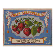 Fresh Strawberries Post Card
