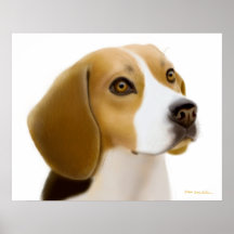 Friendly Beagle Poster