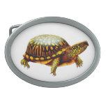 Friendly Eastern Box Turtle Belt Buckle