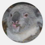 Friendly Koala Stickers