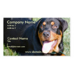 Friendly Rottweiler Dog Business Card