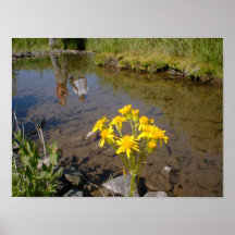 Friends and Flowers Posters