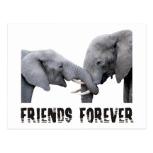 Friends Forever Elephants hugging / kissing Postcards
