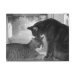 Friends Postcard
