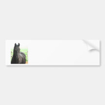 Friesian Horse Bumper Sticker