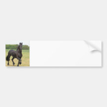 Friesian Horse Bumper Sticker