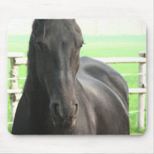 Friesian Horse Mouse Pad