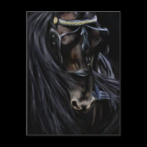 Friesian Spirit - Horse Painting postcards