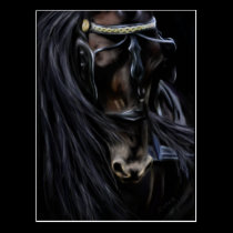 Friesian Spirit - Horse Painting postcards