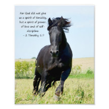 Friesian Stallion 2 Timothy 1:7 Art Photo
