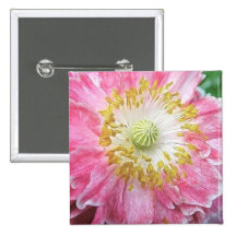 Frilly Pink Poppy