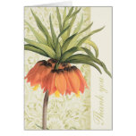 Fritillaria Floral Thank You Notes Greeting Cards
