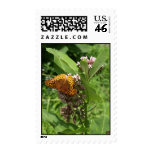 Fritillary Butterfly Stamp