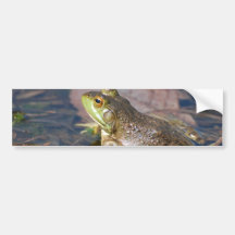 Frog Bumper Sticker