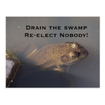 frog Drain the swamp Re-elect Nobody Post Card