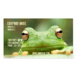 Frog Eyes Business Card