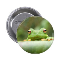 Frog Eyes Button