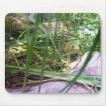 Frog hiding in the grass mouse pads