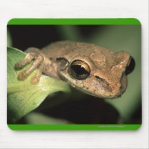 frog mousemat