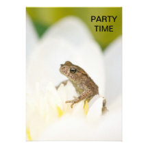 Frog on a Flower Party Time Invitation