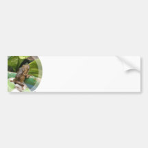 Frog On Back Bumper Sticker