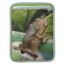 Frog on Back iPad Sleeve