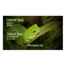Frog Reflections Business Card