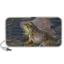 Frog Speakers