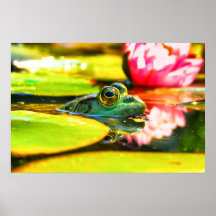 frog toad water peak atlanta posters