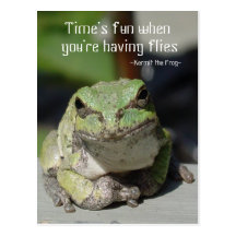 Frogs & Flies Postcard