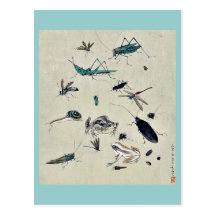 Frogs, snails, and insects post card