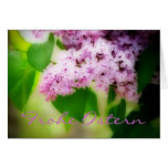 Frohe Ostern Lilacs Card cards
