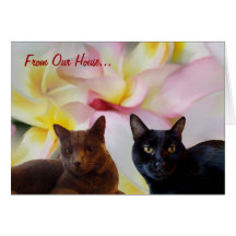 From Our House Correspondence Greeting Card