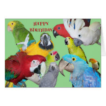 From the Flock Birthday Greeting Cards