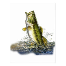 From the FreshWater Collection by FishTs.com Postcard