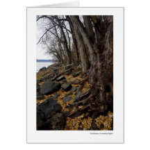 Frontenac on Lake Pepin Card