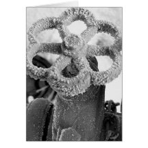 Frost Flower Card