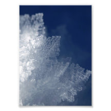 Frost Photo Print