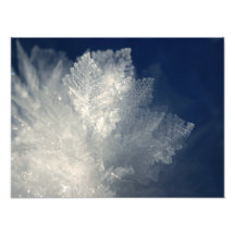 Frost Photographic Print